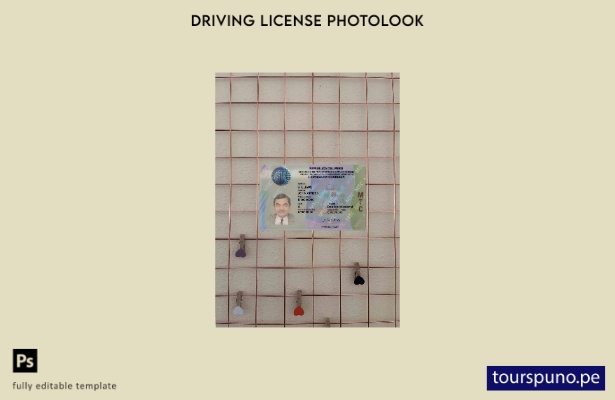 Plantilla FRONTAL lista para imprimir licencia de conducir de Perú photolook